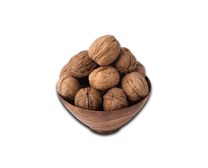 Walnut