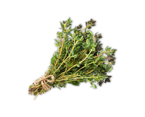 Thyme